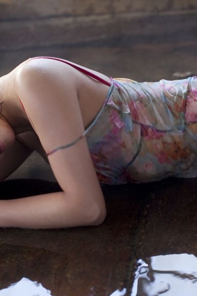 赤麻鸭多少钱一只?赤麻鸭可以私人养殖吗?|球速体育官方网站(图1) 球速体育APP