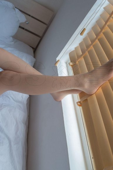 球速体育官方网站-构树苗哪里有?咋卖的?构树苗的市场行情分析(图1) 球速体育平台